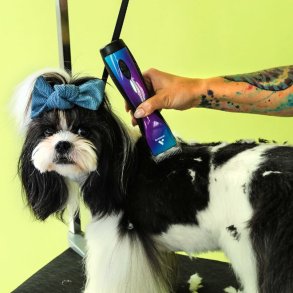 Hunde klippemaskiner