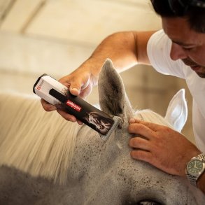 Heste klippemaskiner