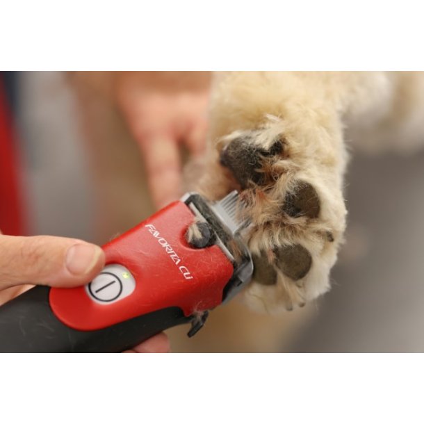 Aesculap Favorita CLi rd uden skr, 1 batteri