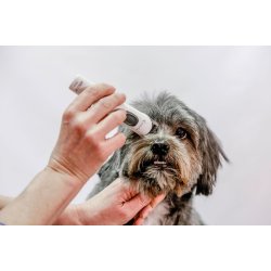 Aesculap Exacta GT416  Li-Ion potetrimmer