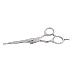 Thordal sakses�t 5,5"