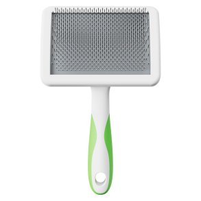 Andis bldtandet karte 