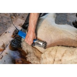 Aesculap Econom 2 freklipper