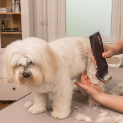 Wahl/Moser afstandskams�t i rustfri st�l, 8 stk.