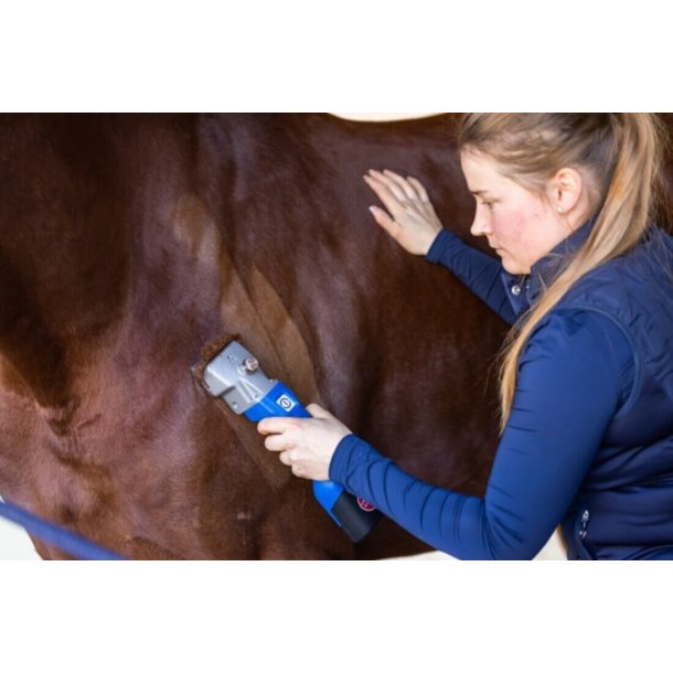 AESCULAP ECONOM CL hesteklipper inkl. 1 skr