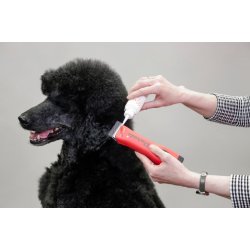 Aesculap Olie 90 ml.  GT604