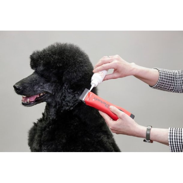 Aesculap Olie 90 ml.  GT604