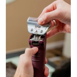 Andis sk�r 5FW (6,3mm) M-Force