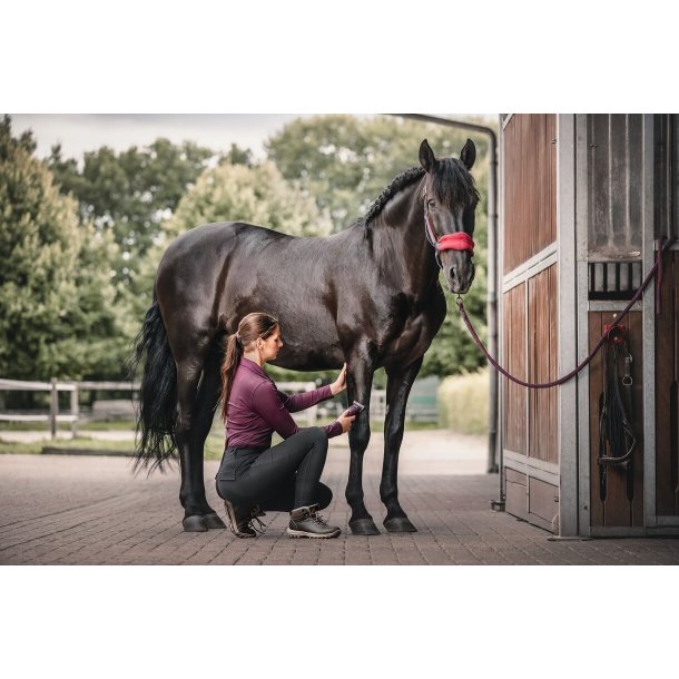 Wahl KM Supera hest m/2 batterier og skr 10W