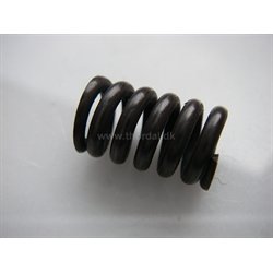 Hauptner fjeder til skret 89500.03