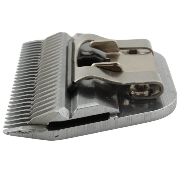 Oster skr size 10 wide